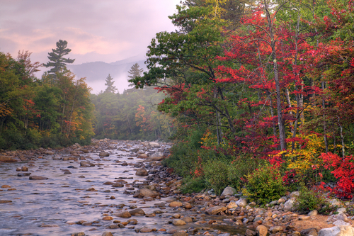 New Hampshire